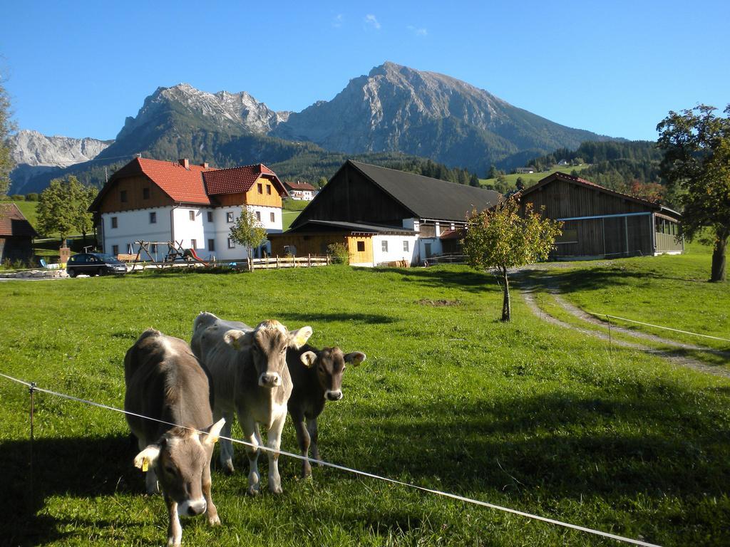 فيلا Bio-Urlaubshof Dansbach شبيتال أم بيرن المظهر الخارجي الصورة