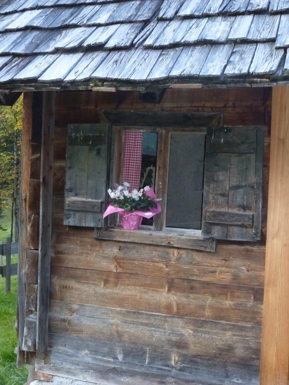 فيلا Bio-Urlaubshof Dansbach شبيتال أم بيرن المظهر الخارجي الصورة